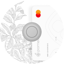 disc